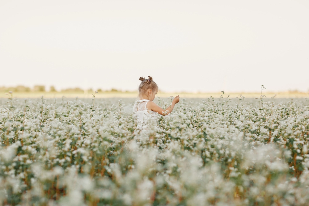 Une enfant marchant dans un champs de fleurs