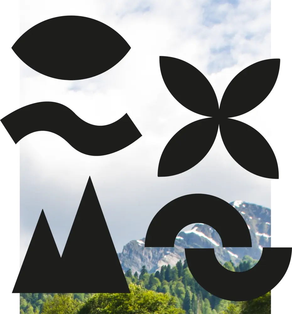 Illustration décorative carnet d’impact