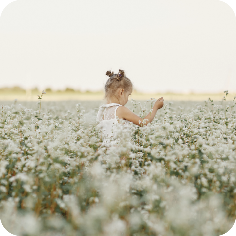 Petite fille dans un champs de fleurs