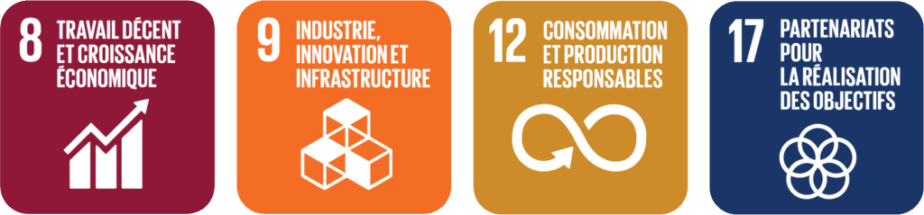 Objectifs de développement durable : 8 Travail décent et croissance économique, 9 Industrie, innovation et infrastructure, 12 Consommation et production responsables et 17 Partenariats pour la réalisation des objectifs.