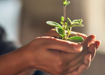 In Safe Hands 2025 04 05 16 37 5