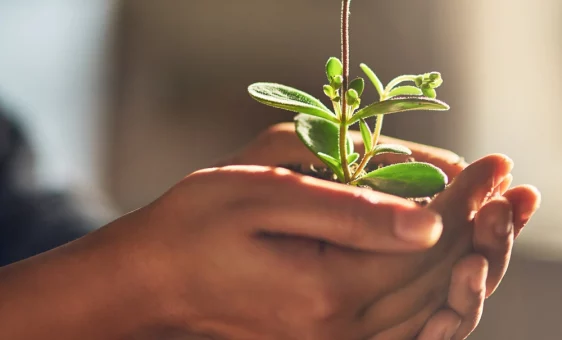 In Safe Hands 2025 04 05 16 37 5